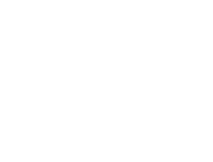 lodestone stacked white